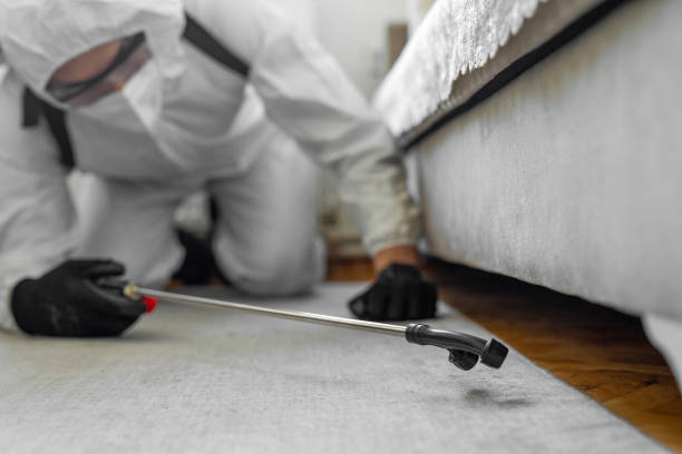 Professional Pest Control technician working in Marion County County, IL